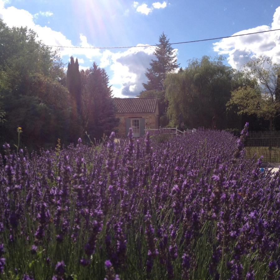 Les Rocailles De La Reine Bed & Breakfast Lamonzie-Montastruc Bagian luar foto